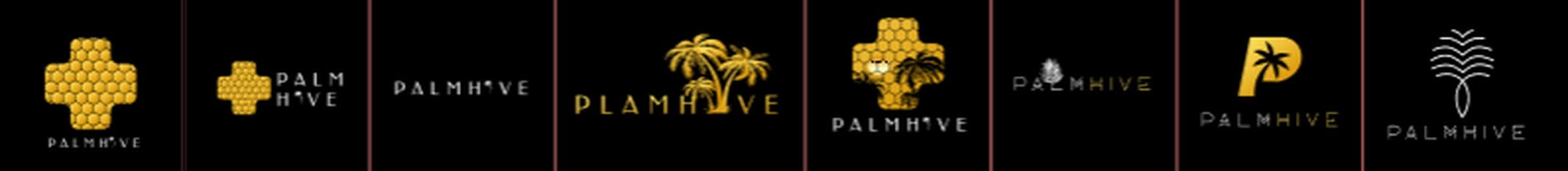 Palmhive — Brand Identity & Website — process
